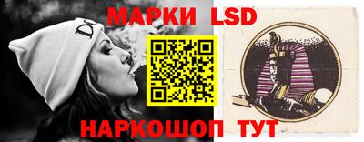 дмт Краснодар