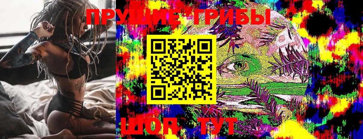 Псилоцибиновые грибы Cubensis  закладка  Карачаевск  Вход с VPN 